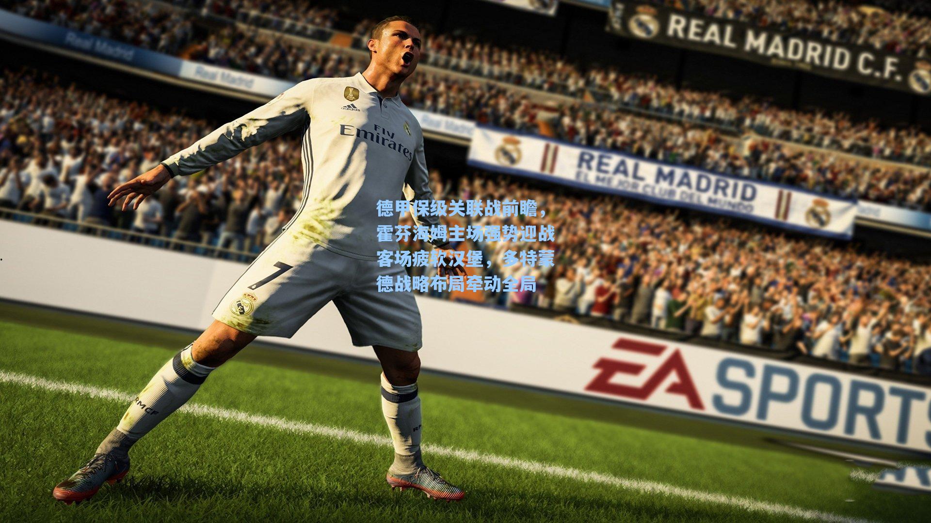 德甲保级关联战前瞻，霍芬海姆主场强势迎战客场疲软汉堡，多特蒙德战略布局牵动全局